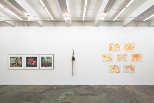 Self-Pleasure - Installation view, west wall (photo credit: Fernando Sandoval/MW).