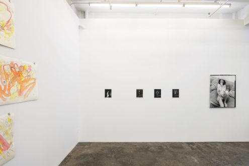 Self-Pleasure - Installation view, north/west walls (photo credit: Fernando Sandoval/MW).