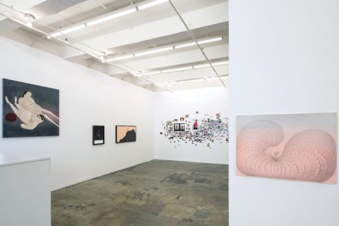 Self-Pleasure - Installation view towards gallery entrance (photo credit: Fernando Sandoval/MW).