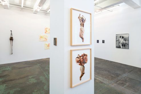 Self-Pleasure - Installation view, north/west walls (photo credit: Fernando Sandoval/MW).
