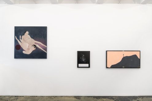 Self-Pleasure - Installation view, east wall (photo credit: Fernando Sandoval/MW).