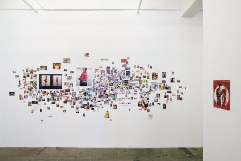 Self-Pleasure - Installation view, south wall (photo credit: Fernando Sandoval/MW).