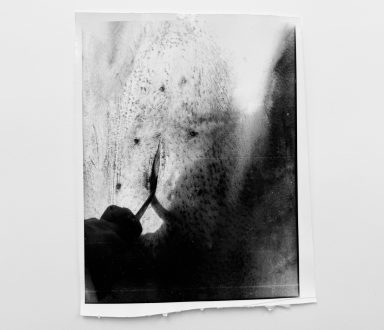 Olivia Reavey, <i>Untitled</i>