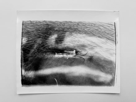 Olivia Reavey, <i>Untitled</i>