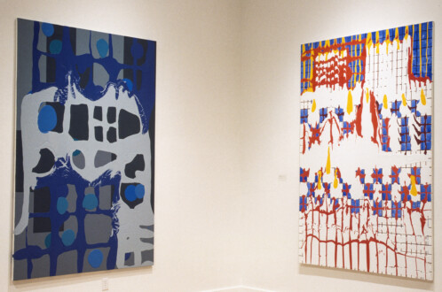 Dona Nelson: The Stations of the Subway, Octopuses and Arrangements, Weatherspoon Art Museum, Greensboro, NC - Installation view. Courtesy of the Weatherspoon Art Museum, University of North Carolina at Greensboro.