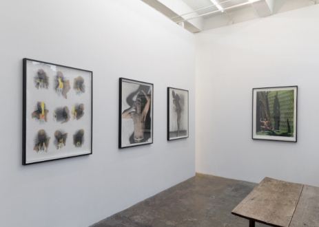 Hoar Frost – Elaine Stocki - Installation view: viewing area