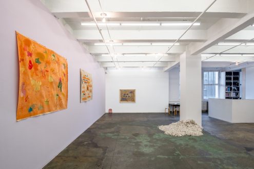 transfiguration, -mutation, -formation - Installation view from gallery entrance (photo credit: Fernando Sandoval/MW).