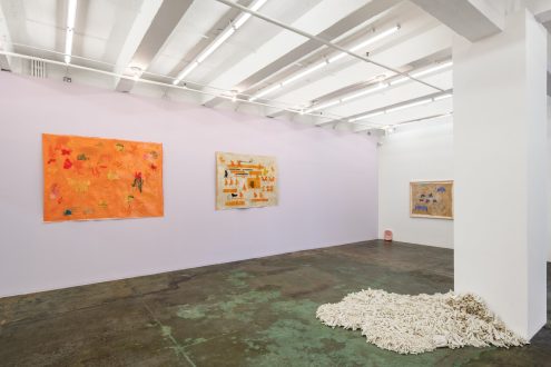 transfiguration, -mutation, -formation - Installation view, north west wall (photo credit: Fernando Sandoval/MW).