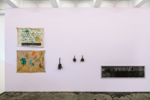 transfiguration, -mutation, -formation - Installation view, east wall (photo credit: Fernando Sandoval/MW).