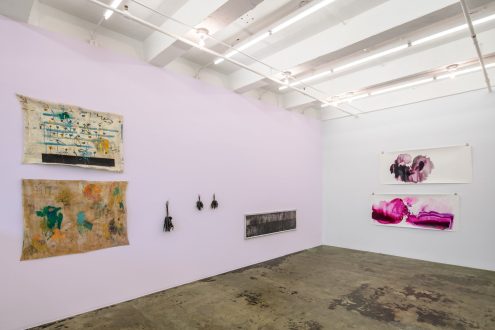 transfiguration, -mutation, -formation - Installation view, east/south wall (photo credit: Fernando Sandoval/MW).