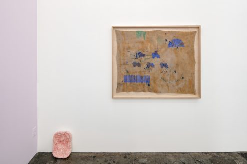 transfiguration, -mutation, -formation - Installation view, north wall (photo credit: Fernando Sandoval/MW).