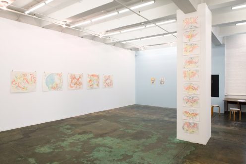 Installation view, north/west walls. (Photo credit Sabrina Slavin)