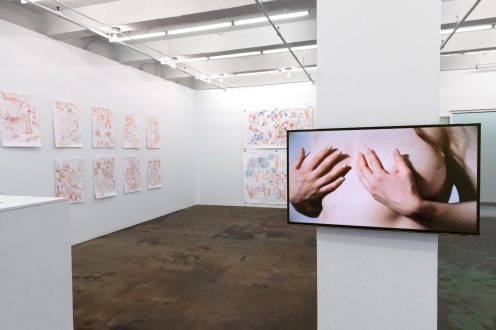 Andrea Éva Győri – Vibration Highway And Other Works - Installation view, south east walls. 