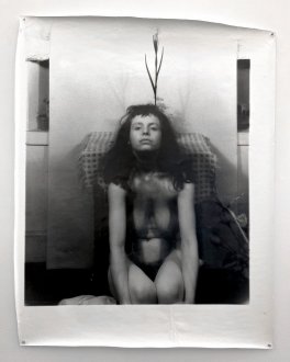 <i>Birds of Paradise II</i>, (triptych), 1989. Black and White silver gelatin print, 50 × 40.1 in. Edition of 6 (+1 AP).