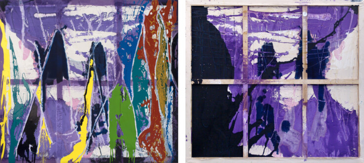 Dona Nelson – Double sided paintings - <i data-eio=
