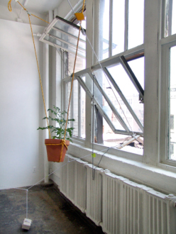 On Permanence and Change – Barry Gerson, Duy Hoang, Nandita Raman and Giovanna Sarti - Duy Hoang: EE.UU., 2014. Mixed media, dimensions variable. (detail)