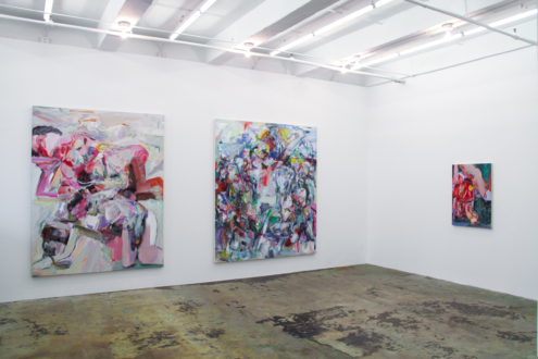 Haeri Yoo – Body Hoarding - Installation view, east and south wall.