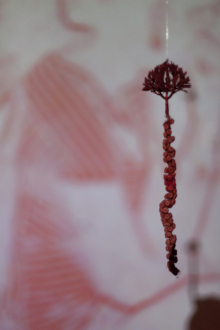 Mithu Sen – I have only one language; it is not mine - Installation view: courtesy Kiran Nadar Museum of Art, New Delhi.