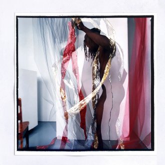 <i>Celebrate#08</i>, 1994. C-print, 16.5 × 16.5 in. Edition of 9 (+1 AP).