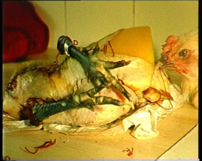 Pia Maria Martin, Haeri Yoo, Yuh-Shioh Wong - Pia Maria Martin: Marche au Supplice, 2005. Still from 16 mm film, 5.25 min.