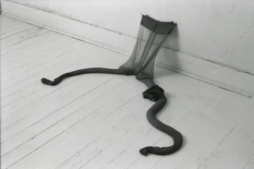 Nylon Mesh 1976 – 1987 - <i data-eio=