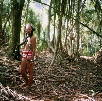 Self-Pleasure - Chitra Ganesh, <i data-eio=