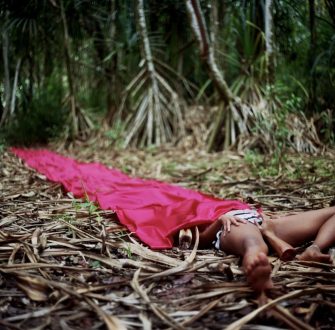 Self-Pleasure - Chitra Ganesh, <i data-eio=