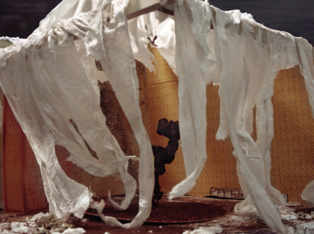 Sheela Gowda, Yamini Nayar – Arrested Views - <strong data-eio=