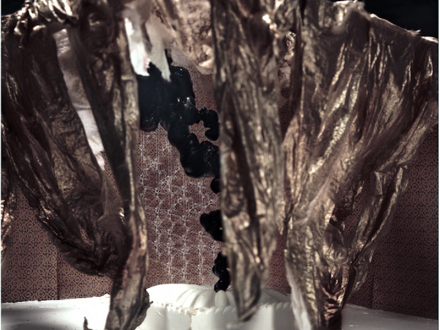 Sheela Gowda, Yamini Nayar – Arrested Views - <strong data-eio=