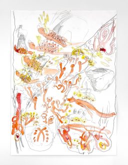 Andrea Éva Győri – Vibration Highway And Other Works - <i data-eio=