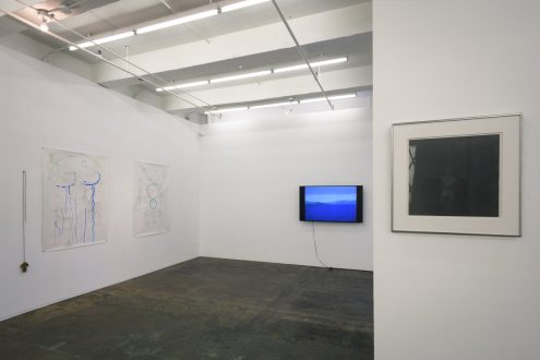 Anna and Bernhard Blume, Eli Bornowsky, Mike Cloud, Róza El-Hassan, Barry Gerson, Harriet Korman, Mehran Mohajer, and Dona Nelson - Installation view from entrance (photo: Fernando Sandoval/MW).