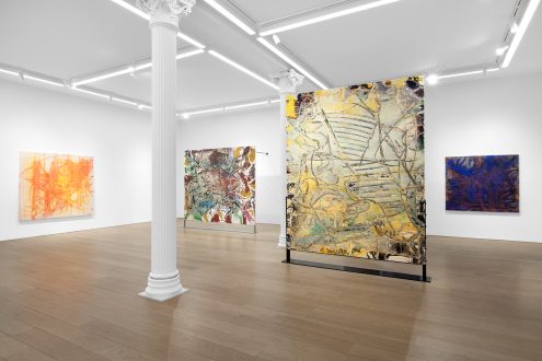 The Individualism of Dona Nelson - Installation view.