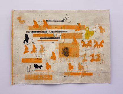 transfiguration, -mutation, -formation - Goutam Ghosh, <i data-eio=