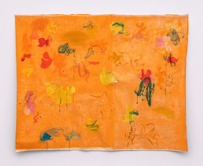 transfiguration, -mutation, -formation - Goutam Ghosh, <i data-eio=