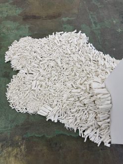 transfiguration, -mutation, -formation - Savia Mahajan, <i data-eio=