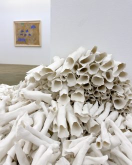 transfiguration, -mutation, -formation - Savia Mahajan, <i data-eio=