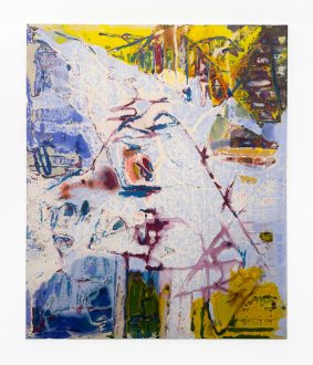 New Works - Dona Nelson, <i data-eio=