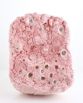 transfiguration, -mutation, -formation - Savia Mahajan, <i data-eio=