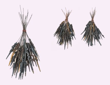 transfiguration, -mutation, -formation - Savia Mahajan, <i data-eio=