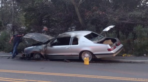 Vijay Masharani, <i>Thunder scene</i>, 2020–21. Single channel video loop, r/t 1:11. Unique + 2 AP