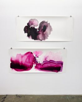 transfiguration, -mutation, -formation - Installation view, south wall. 