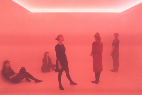 The Beauty Show - MAK Exhibition View, 2018. <i data-eio=